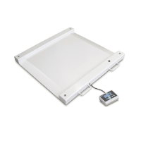 Kern MWB 300K-1 IP65 Wheelchair Platform Scale 300kg x 0.1kg Kern and Sohn - 1
