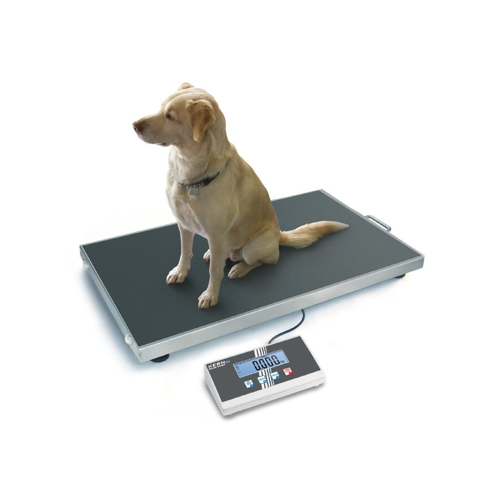 Kern EOS Heavy Duty Veterinary Platform Scale 150kg - 300kg Kern and Sohn - 1