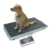 Kern EOS Heavy Duty Veterinary Platform Scale 150kg - 300kg Kern and Sohn - 1