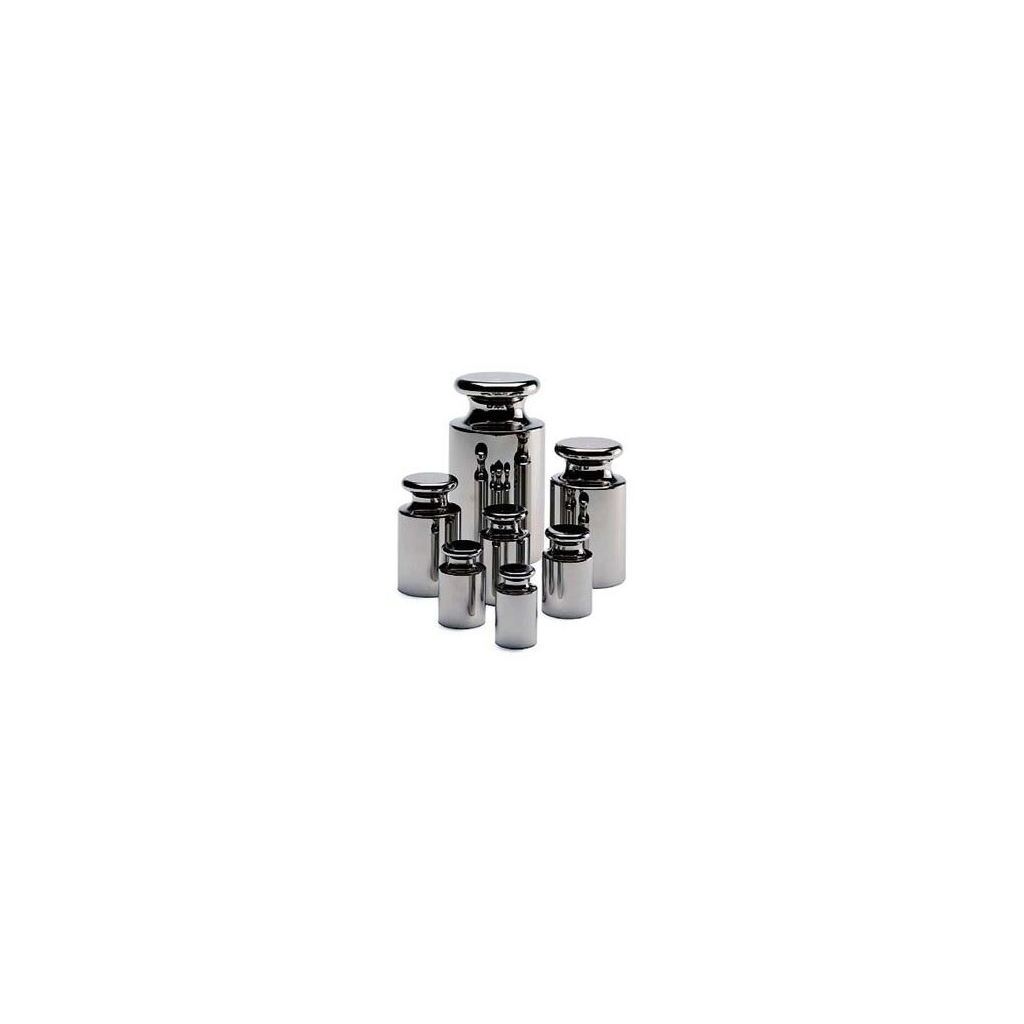 Triton T3-R Calibration Weight Set 1x 200g + 1x 300g Weights - 1