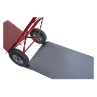 Brecknell PS1000 Platform Floor Scales 500kg x 0.2kg Brecknell - 3