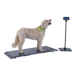 Brecknell PS1000 Platform Floor Scales 500kg x 0.2kg Brecknell - 1