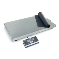 Kern EOS Heavy Duty Veterinary Platform Scale 150kg - 300kg Kern and Sohn - 2