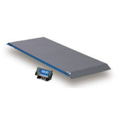 Brecknell PS1000 Platform Floor Scales 500kg x 0.2kg Brecknell - 2