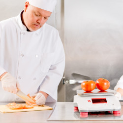 Ohaus Valor 2000 IP68 Waterproof Bench Scales 1.5kg-30kg Ohaus - 10