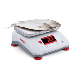 Ohaus Valor 2000 IP68 Waterproof Bench Scales 1.5kg-30kg Ohaus - 7