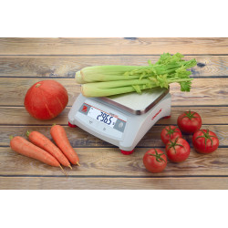 Ohaus Valor 1000 V12P Commercial Kitchen Scales 3kg - 30kg Ohaus - 9