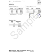 Kern Calibration Certificate for CCS Two Scale System  - 3